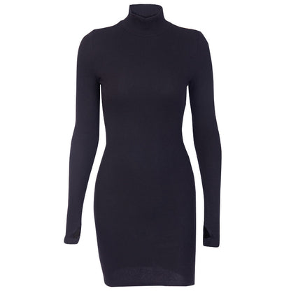 Fashion Rowan Long Sleeve Turtleneck Tight Dress