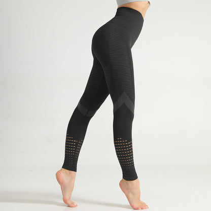 Seamless knit yoga pants