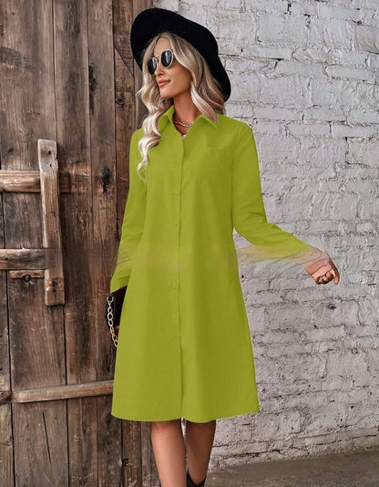 Long-sleeved Blouse Dress