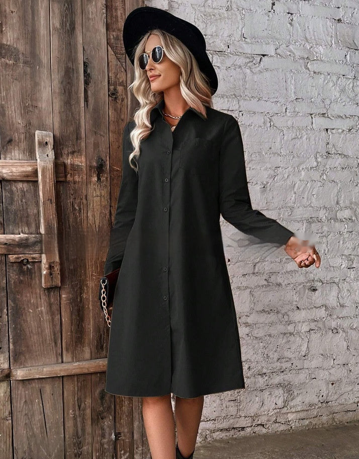 Long-sleeved Blouse Dress