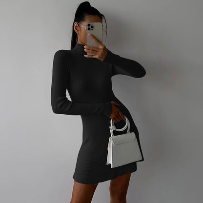 Slim Long Sleeve Knitted Dress