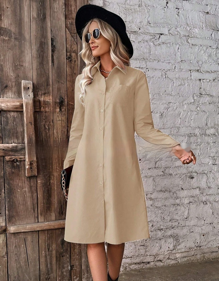 Long-sleeved Blouse Dress